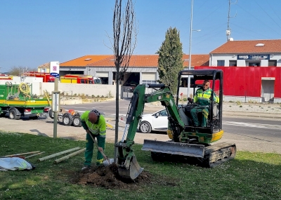 Plantations et paillage